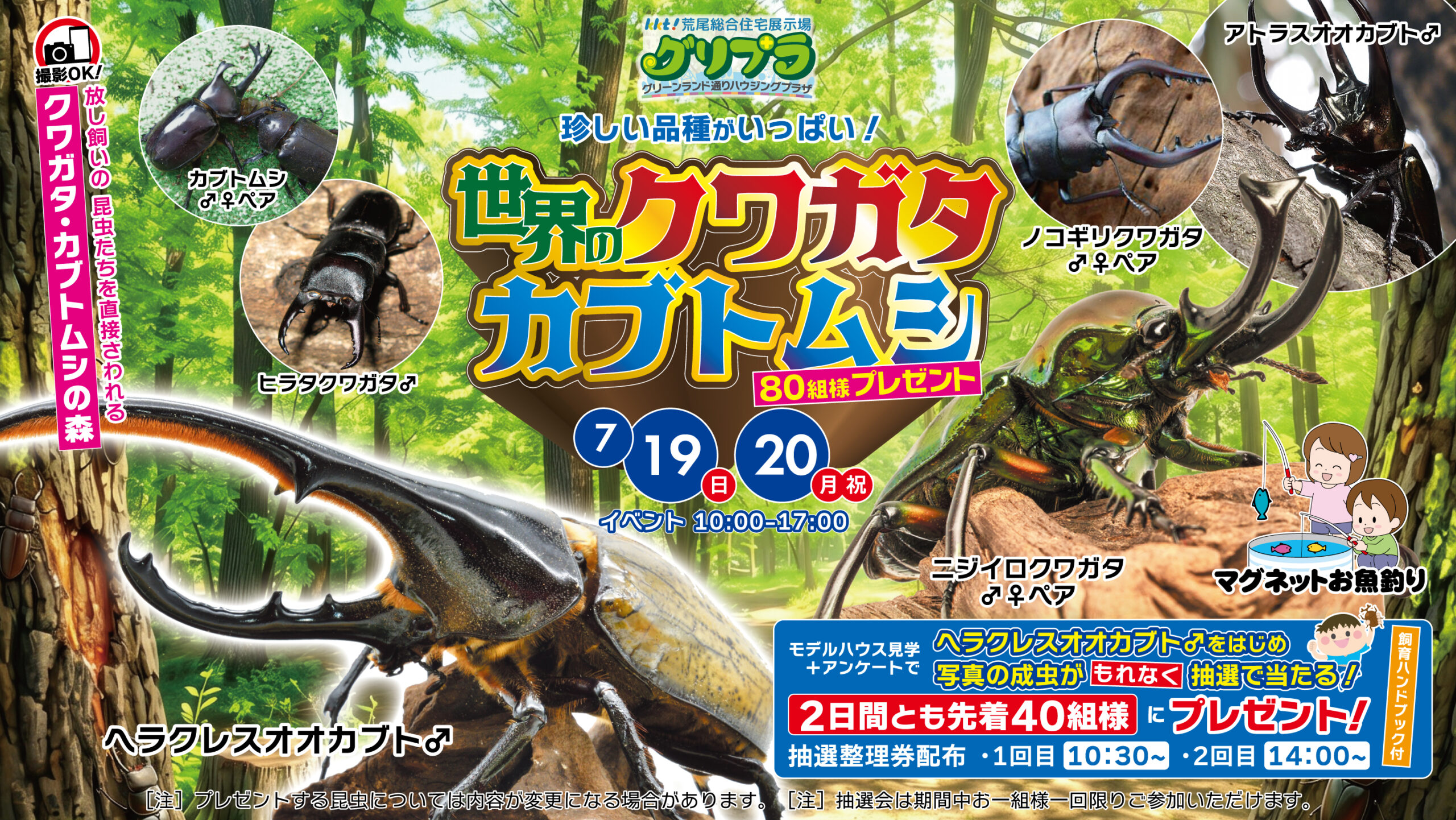 世界のクワガタカブトムシプレゼント！